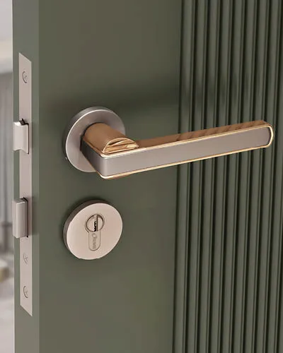 Mortise Door Handles