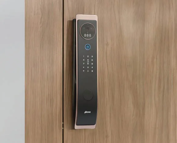 Face-Palm Recognition Door Locks