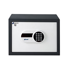 Home & Office Safes