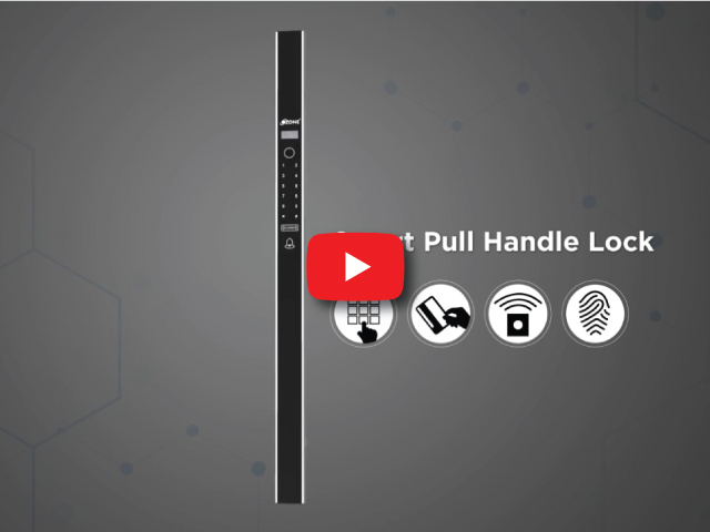 Smart Pull Handle Lock | Fingerprint Digital Door Lock