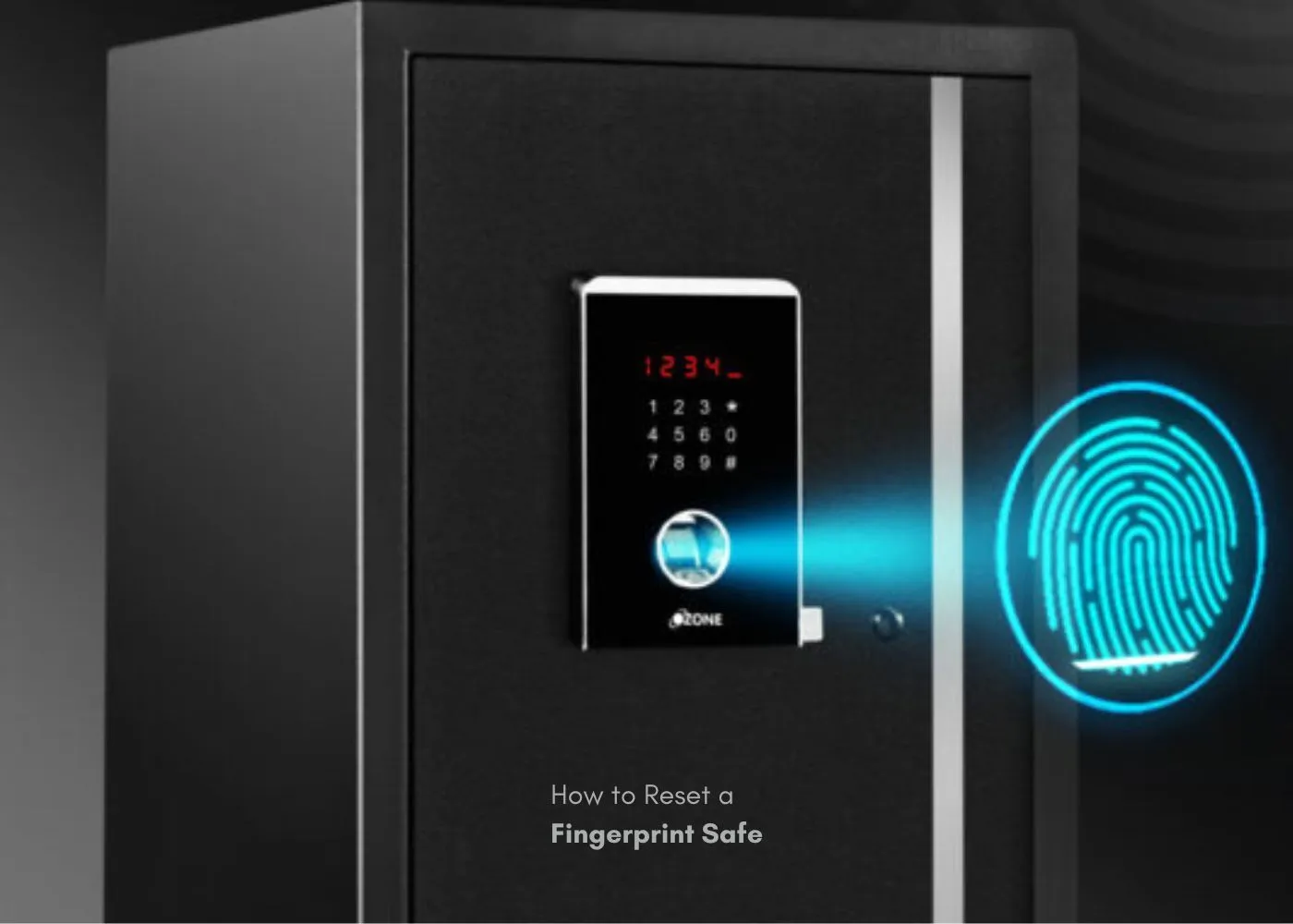Biometric Fingerprint Safe