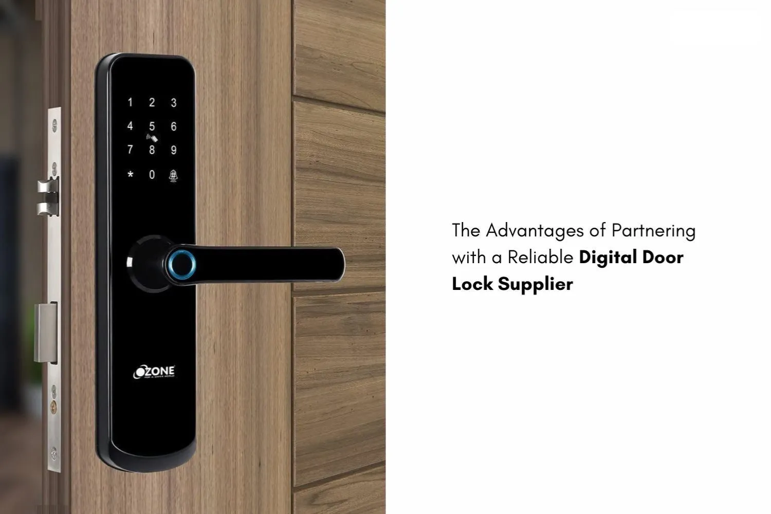 Reliable-Digital-Door-Lock-Supplier