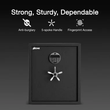 Fort safe AB Bio -66 Black