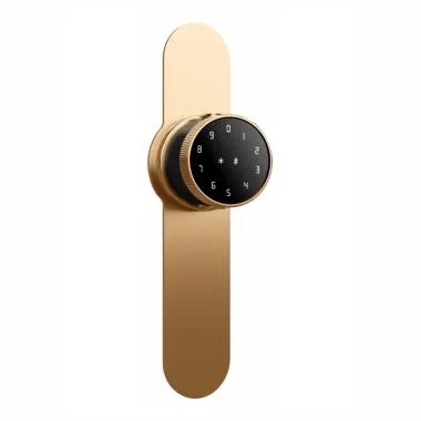 Smart Bluetooth Internal Lock with Lock Plate for Wooden & Metal Doors, 4-Way Access, OzoLife App, Fingerprint, Password, RFID Card, 35-65 mm Door Thickness, Free Installation, 2 Years Warranty (Antique Bronze)