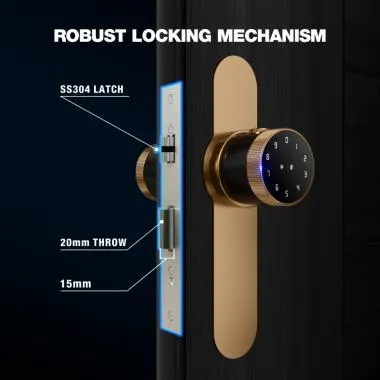 OZ-FDL-11-P-Life Antique Bronze