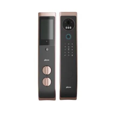 3D Facial and Palm Recognition Smart Door Lock for Wooden & Metal Doors, 6-Way Access, Face Recognition, Palm Recognition, Mobile App, Fingerprint, Password, RFID Card, 45-120 mm Door Thickness, Free Installation, 3 Years Warranty (Rose Gold)