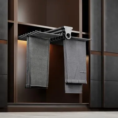 Pull-Out Hanger Double