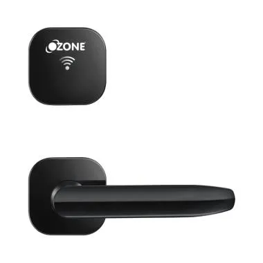 IDS & Opera Software Based Hotel Lock