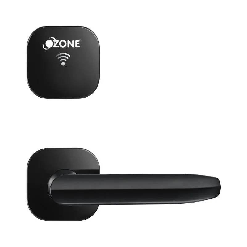 IDS & Opera Software Based Hotel Lock