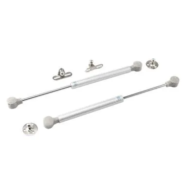 Pneumatic Gas Pump Engineered for Smooth & Controlled Motion | Ozone