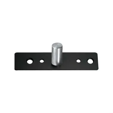 Top Pivot for Patch/Point Fitting Doors